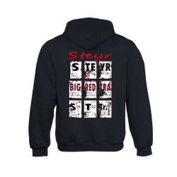 STEYR Sweater Hooded  BLOCKS  volw