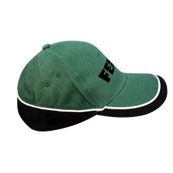 Fendt  Cap - flesgroen